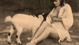 Classic And Taboo: Vintage Pussy And Doggy Style